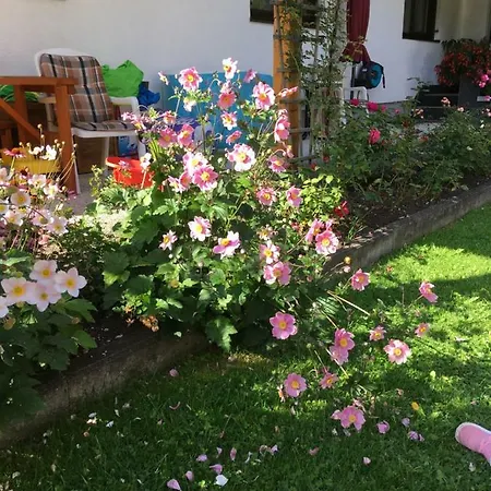 Appartements Wacker Bichlbach Zewnętrze zdjęcie